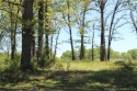 This attractive corner lot is ideally situated on Apache Drive for sale in Laurie Missouri Morgan County County on GolfHomes.com