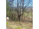 WOODED LOT OVERLOOKING WHERE GOLF COURSE USED TO BE for sale in Unicoi Tennessee Unicoi County County on GolfHomes.com