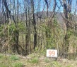 WOODED LOT OVERLOOKING WHERE THE GOLF COURSE USED TO BE.  THIS for sale in Unicoi Tennessee Unicoi County County on GolfHomes.com