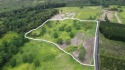 So popular only 6 lots (of 73) remain. Ag Estate quality for sale in Pahala Hawaii Big Island County County on GolfHomes.com