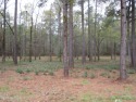 Golf course community, partially cleared lots
Listing agent is for sale in Laurinburg North Carolina Scotland County County on GolfHomes.com