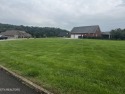 58 acre flat, buildable lot in an AMAZING location. River for sale in Kodak Tennessee Jefferson County County on GolfHomes.com