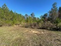 This picturesque corner lot is situated in the serene for sale in Hattiesburg Mississippi Lamar County County on GolfHomes.com