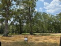 Build your dream home in this established community which sits for sale in Abita Springs Louisiana St. Tammany Parish County on GolfHomes.com