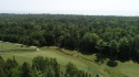 2 Vacant Golf Course Lots, Michigan