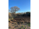 Spacious & level building lot with mature trees in the heart of for sale in Kingsland Texas Llano County County on GolfHomes.com