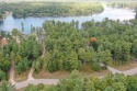 Lot 34, a buildable wooded lot on Nepco Lake, Central Wis. The for sale in Wisconsin Rapids Wisconsin Wood County County on GolfHomes.com