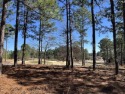 Golf course lot overlooking 4th Green and 5th tee box on for sale in West Columbia South Carolina Lexington County County on GolfHomes.com