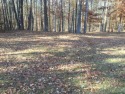 This beautiful lot is ready to build, has been flagged so you for sale in Buffalo Junction Virginia Mecklenburg County County on GolfHomes.com