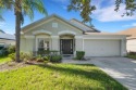 Welcome to 11567 Misty Isle Lane in Riverview, FL. This for sale in Riverview Florida Hillsborough County County on GolfHomes.com