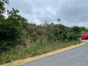 Build your dream home or vacation home on the south end of the for sale in Naalehu Hawaii Big Island County County on GolfHomes.com