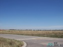 Build The Home  Of Your Dreams In A Beautiful Area Of Artesia for sale in Artesia New Mexico Eddy County County on GolfHomes.com