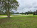 You can build your beautiful home on this lovely smaller corner for sale in Springfield Louisiana Livingston Parish County on GolfHomes.com