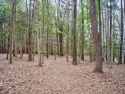MERIFIELD ACRES LAKE LOT with well in place & a fairly level, Virginia
