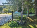 Owner Financing Available to credit qualified buyer.This 3 for sale in Killington Vermont Rutland County County on GolfHomes.com