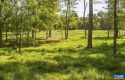 Lot 4 Club Drive presents an increasingly rare opportunity to for sale in Keswick Virginia Albemarle County County on GolfHomes.com