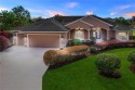 Welcome to the most sought-after neighborhood in all The for sale in The Villages Florida Lake County County on GolfHomes.com