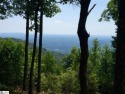 Nestled in the mountains just minutes from Greenville, SC, make for sale in Zirconia North Carolina Henderson County County on GolfHomes.com