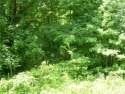 This 1.48-acre parcel is located in the North Cove Township of for sale in Marion North Carolina McDowell County County on GolfHomes.com