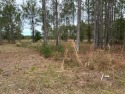 Beautiful and partially cleared 1.17 acre lot on Long Lake in for sale in Webster Florida Hernando County County on GolfHomes.com