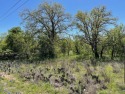 Build your dream house on a nearly half-acre lot surrounded by for sale in Kingsland Texas Llano County County on GolfHomes.com