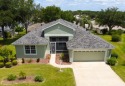 This active adult community wants YOU!  And we have the perfect for sale in Tavares Florida Lake County County on GolfHomes.com
