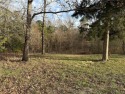 Bring your golf clubs and your dream house plans. This lot for sale in Holiday Island Arkansas Carroll County County on GolfHomes.com