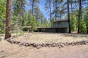 Welcome to your dream mountain retreat in White Mountain Summer for sale in Pinetop Arizona Navajo County County on GolfHomes.com