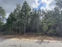 Don't miss this very private .38/acre lot in Sunny Hills to for sale in Chipley Florida Washington County County on GolfHomes.com