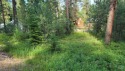 Come build your dream home on this .4 ac level, wooded parcel for sale in New Meadows Idaho Adams County County on GolfHomes.com