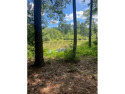 Welcome to your affordable lakefront retreat! This pristine lot for sale in Gasburg Virginia Brunswick County County on GolfHomes.com