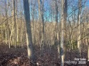 Gorgeous 1.28 acre lot located in Kenmure - A gated 24 hour for sale in Flat Rock North Carolina Henderson County County on GolfHomes.com