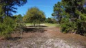 Desirable, partially cleared, 7,600SF lot located on Royal Tern for sale in St. James City Florida Franklin County County on GolfHomes.com