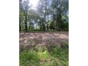 Nice partially cleared lot close to Beech Creek Golf Course and for sale in Sumter South Carolina Sumter County County on GolfHomes.com