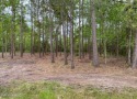 Great lot in Timber Ridge Shores that is high and dry with views for sale in Pass Christian Mississippi Harrison County County on GolfHomes.com