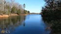 Wooded lake cove end lot w. Community Well Water available for sale in Elberton Georgia Elbert County County on GolfHomes.com