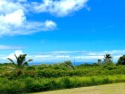 Imagine owning your piece of paradise and building your dream for sale in Naalehu Hawaii  	Big Island	 County County on GolfHomes.com