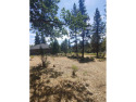Lot 029, 220'x148' on 8th Fairway, Approx. 2/3 of an acre, Oregon