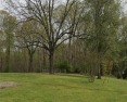Introducing a captivating ~0.55 acre wooded plot of land, ready for sale in Flowery Branch Georgia Hall County County on GolfHomes.com