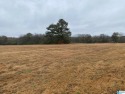 Approximately 19.3 acres , formally the Westside driving range for sale in Birmingham Alabama Jefferson County County on GolfHomes.com