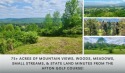 What would you do with this large land parcel with stunning for sale in Afton New York Chenango County County on GolfHomes.com