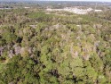 4.5 acres with So many possibilities just off Riviere Du Chien for sale in Mobile Alabama Mobile County County on GolfHomes.com