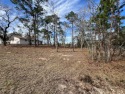 Buildable lot on what was the former Williston Highlands golf for sale in Williston Florida Levy County County on GolfHomes.com