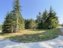 Discover the perfect blend of nature and convenience in one of for sale in Port Angeles Washington Clallam County County on GolfHomes.com