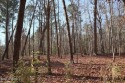 Great Location!  .89 ACRE, Lightly Wooded Lot : Road Frontage : for sale in Arapahoe North Carolina Pamlico County County on GolfHomes.com
