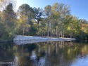 A NATURE LOVER'S DREAM :Prime Location!  .69 ACRE, 208 feet Road for sale in Arapahoe North Carolina Pamlico County County on GolfHomes.com