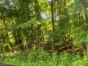  Ad# 6342379 golf course property for sale on GolfHomes.com