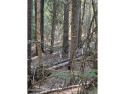  Ad# 6394230 golf course property for sale on GolfHomes.com