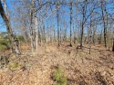 Build your new home on this large, almost completely level lot for sale in Bella Vista Arkansas Benton County County on GolfHomes.com