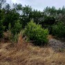 Discover the perfect canvas for your dream home on this 1/3-acre for sale in Lago Vista Texas Travis County County on GolfHomes.com